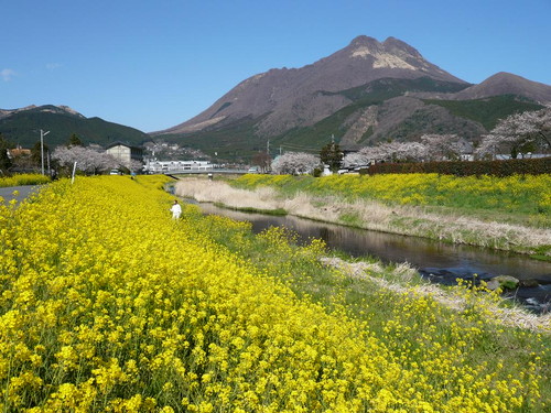 湯布院