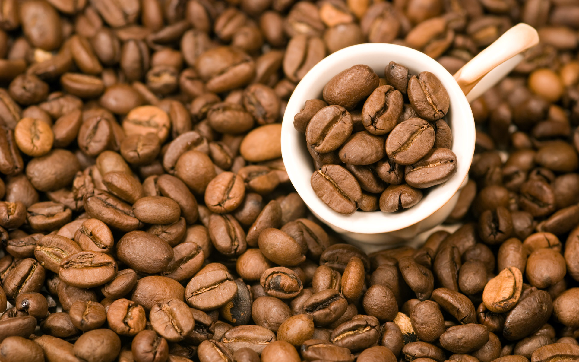墨西哥最好的咖啡产地介绍 墨西哥咖啡风味特点 中国咖啡网 03月11日更新
